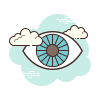 eye